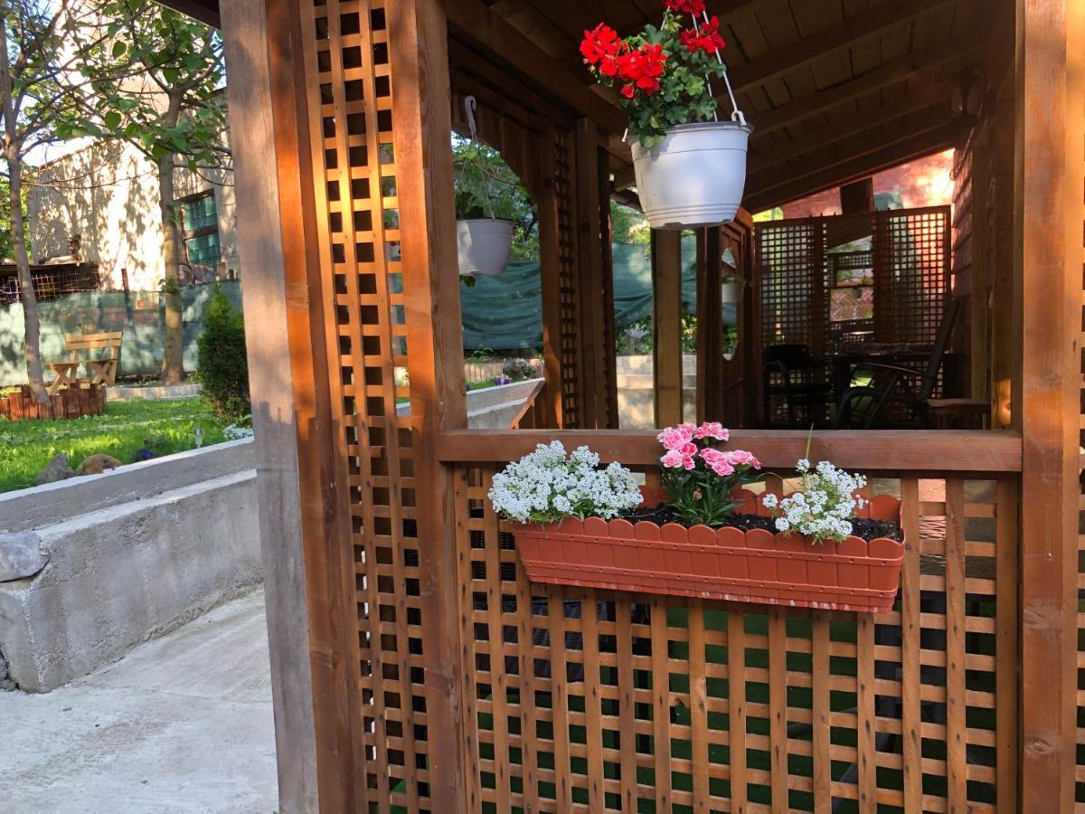 Casa Anina Hotel Luaran gambar