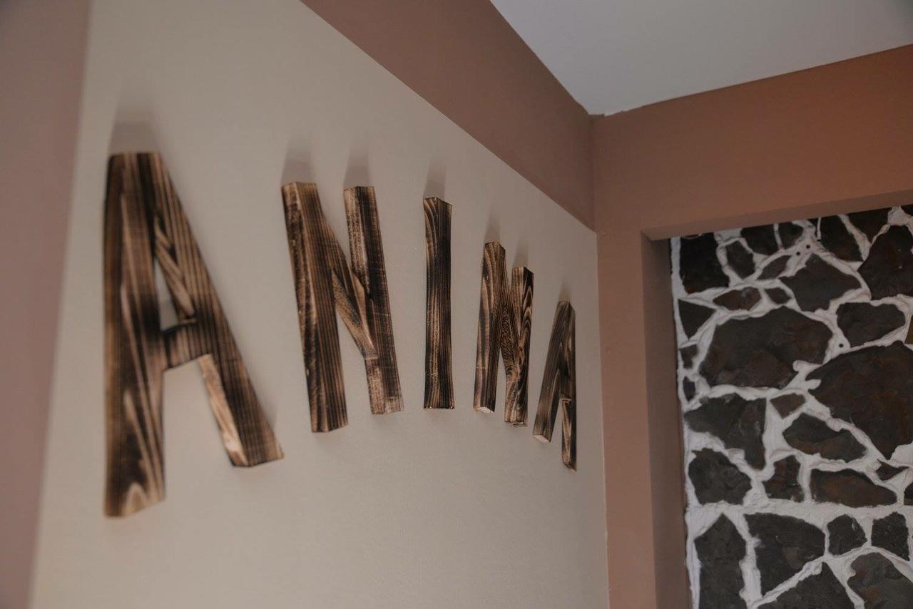 Casa Anina Hotel Luaran gambar