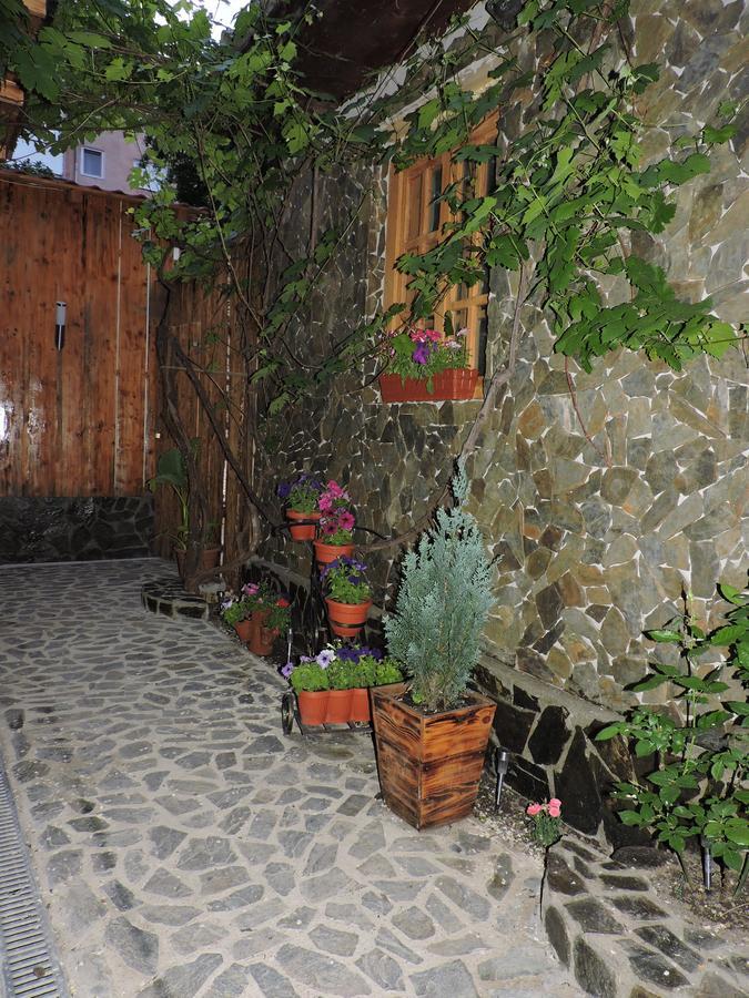 Casa Anina Hotel Luaran gambar
