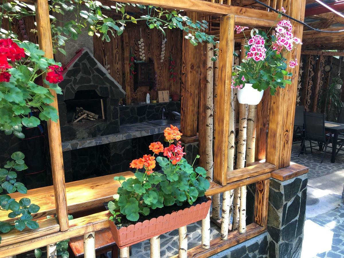 Casa Anina Hotel Luaran gambar